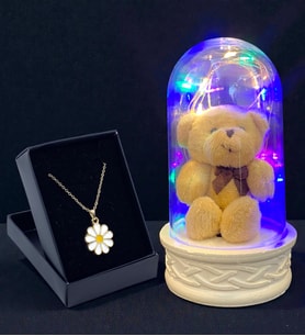 Renkli Led Işıklı Tasarım Fanus ve Özel Tasarım Kolye Hediye Seti (Model 2)