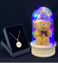 Renkli Led Işıklı Tasarım Fanus ve Özel Tasarım Kolye Hediye Seti (Model 2)