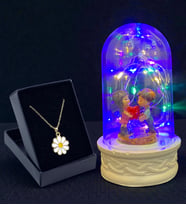 Renkli Led Işıklı Tasarım Fanus ve Tasarım Kolye Hediye Seti (Model 5)