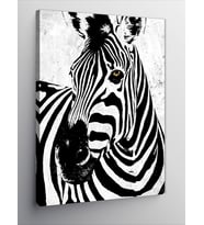 Kanvas Tablo Siyah Beyaz Zebra