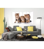 KEDİ MDF TABLO-2553 MODEL-B