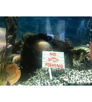 Akvaryum Dekoru - No Fishing Yazısı