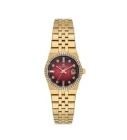 Momentus SS264G-14SG KADIN KOL SAATİ