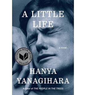 A Little Life: A Novel (Krem)
