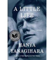 A Little Life: A Novel (Krem)