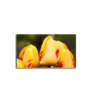 DBSanatevi Sarı Kırmızı Lale Tablo 50 X 70 Cm