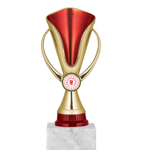 ODAK KUPA - Genel Kupalar - GN-058 B - 21 cm