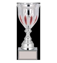 ODAK KUPA - X Large Kupalar - XL-025 C - 29 cm