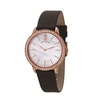 Pierre Cardin 105492F04 Kadın Kol Saati-Q2561