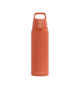 Sigg Therm One Matara 750ml Tarçın 6021.20