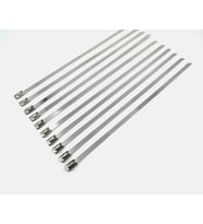 10 Adet  Paslanmaz Çelik Kablo Bağı 4,6*350 MM