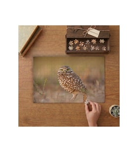 Baykuş - Yer Kukumavı Tasarımı 240 parça Ahşap Puzzle Ahşap Kutuda MP03963