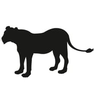 ASLAN FOLYO STİCKER 130cm Uzunluk (Karışık)
