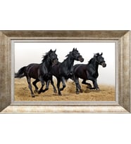 GÜMÜŞ ÇERÇEVELİ TABLO N486