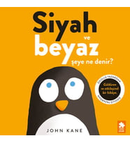 Siyah ve Beyaz Şeye Ne Denir?