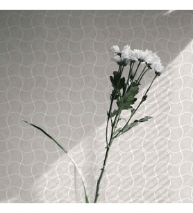 Adawall Omega Koleksiyonu 23201-3 Duvar Kağıdı