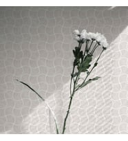 Adawall Omega Koleksiyonu 23201-3 Duvar Kağıdı