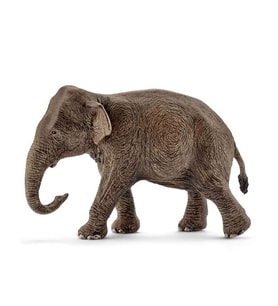 Schleich Dişi Asya Fili 17001