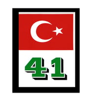 Türkiye Bayraklı Kocaeli 41 Plaka Kodu Ön Cam Sticker