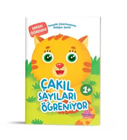 Gelişim Seti Çakıl Sayıları Öğreniyor Dikkat Atölyesi Yayınları