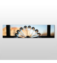Soyut Papatya Kanvas Tablo 270x90cm (Karışık)