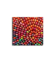 DBSanatevi Renkli Yumurtalar Tablo 40 X 60 Cm