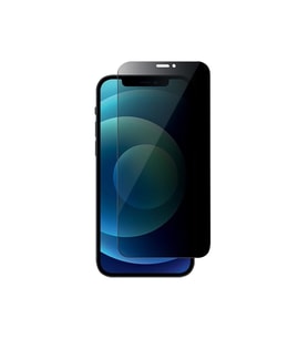 Iphone 12 Pro Max Privacy Gizli Hayalet Tempered Cam Uyumlu Ekran Koruyucu Rz (Renksiz)