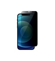 Iphone 12 Pro Max Privacy Gizli Hayalet Tempered Cam Uyumlu Ekran Koruyucu Rz (Renksiz)