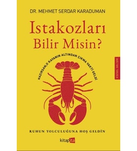 Istakozları Bilir Misin?
