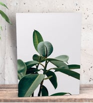 BK Gift Green Plant Tasarımlı Dekoratif Mini Kanvas Tablo 15x20cm-1