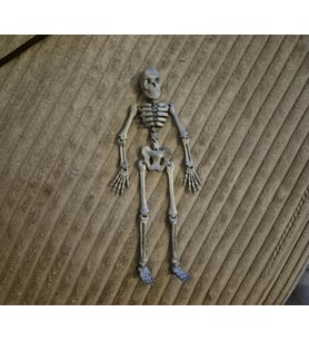 Oyuncak İskelet Model 13CM PLA Doğal Malzeme
