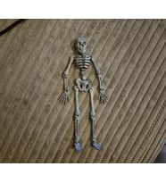 Oyuncak İskelet Model 13CM PLA Doğal Malzeme (Çok Renkli)