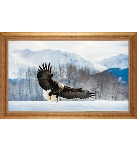 ALTIN ÇERÇEVELİ PASPARTULU TABLO CR65