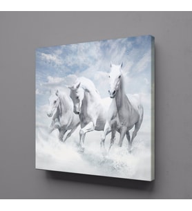 BEYAZ ATLAR ÜLKESİ KANVAS TABLO 40x40cm (Karışık)