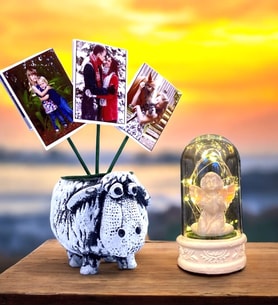 Size Özel 3 Fotoğraflı Kuzu Saksı & Led Işıklı Beyaz Melekli Fanus  Hediye Seti