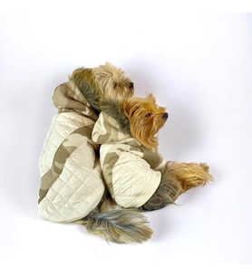 Kamuflaj Comfy Köpek Montu, Köpek Ceketi, Köpek Dış Giyim