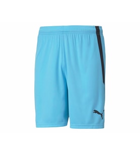 Puma Teamliga Shorts Erkek Futbol Şortu 70492440 Mavi
