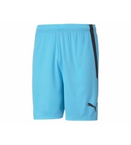 Puma Teamliga Shorts Erkek Futbol Şortu 70492440 Mavi