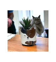 Özel Yapım Kedi Desenli Hediyelik Saksı Organizer Mumluk