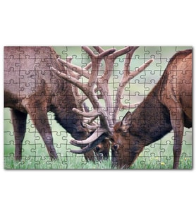 Cakapuzzle Yeşil Çayırda Otlayan Boynuzlu Geyikler Puzzle Yapboz MDF (Ahşap) (120 Parça)
