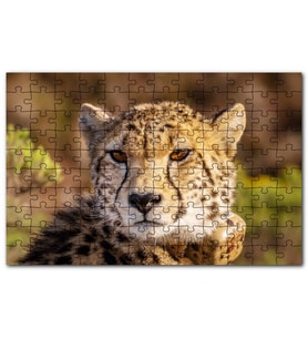 Cakapuzzle Çita Yakın Çekim Flu Savana Arkaplan Puzzle Yapboz MDF (Ahşap) (120 Parça)