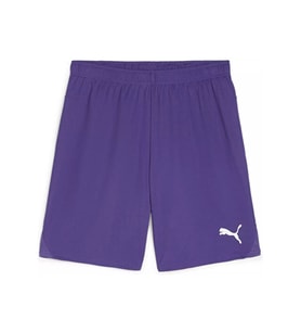 Puma Teamgoal Shorts Erkek Futbol Antrenman Şortu 70575210 Mor