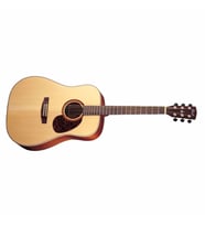 CORT EARTH100NAT