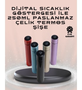 250Ml Led Ekranlı Paslanmaz Çelik Akıllı Termos