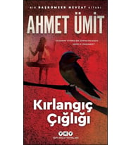 Kırlangıç Çığlığı