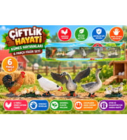 Çiftlik Hayatı Kümes Hayvanları 6 Parça Figür Seti
