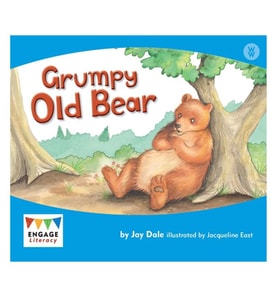 Grumpy Old Bear