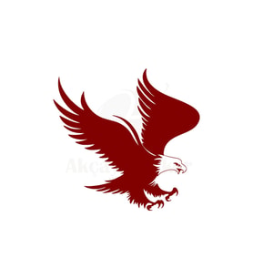 Kartal Tasarım Oto Sticker Kırmızı 20*20 Cm