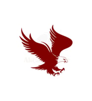 Kartal Tasarım Oto Sticker Kırmızı 20*20 Cm