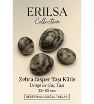 Sertifikalı Zebra Jasper Taşı Kütle 25–30 mm Denge Güç ve Koruma Taşı (Çok Renkli)